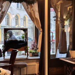 Kissakahvila Helkatti - Chillin in the window
