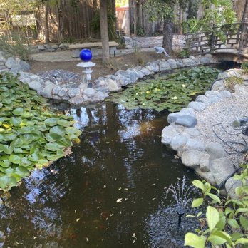 Pond Works - Before - Landscaping Near Me
