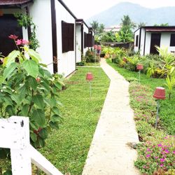 The Little Green Kitchen's Village Chefs