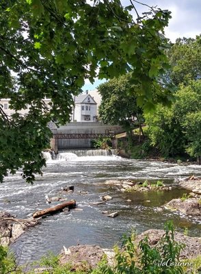 Passaic Falls by null
