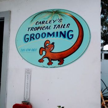 Carley's Tropical Tails Grooming - Pet Groomers Near Me - Key West, Florida Carley's Tropical Tails Grooming - Pet Groomers Near Me - Key West, Florida