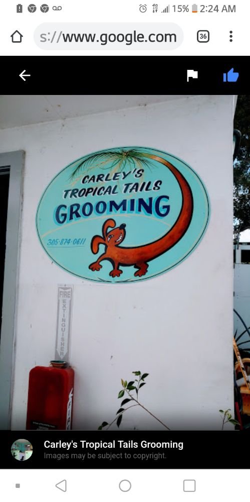 Carley's Tropical Tails Grooming Image