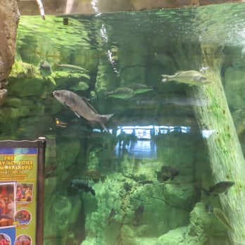 Bass Pro Shops - Guns & Ammo Near Me - Round Rock, Texas Bass Pro Shops - Guns & Ammo Near Me - Round Rock, Texas