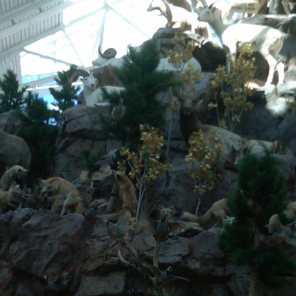 Scheels - Sports Wear Near Me - Sparks, Nevada Scheels - Sports Wear Near Me - Sparks, Nevada