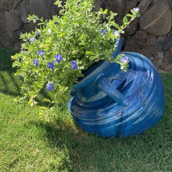 Geobunga - Our beautiful pots from Geobunga in town. - Nurseries & Gardening Near Me - Aiea, Hawaii