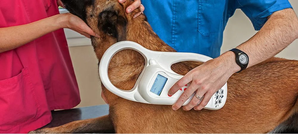PetSuites Lakeville - pet boarding facility in Lakeville, MN