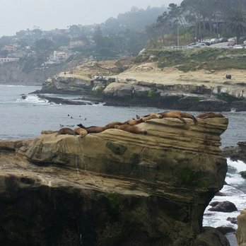 La Jolla Cove - Parks Near Me - La Jolla, California La Jolla Cove - Parks Near Me - La Jolla, California