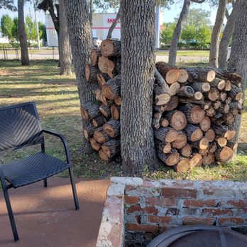 Hulk Tree Service - Tree Services Near Me - Largo, Florida Hulk Tree Service - Tree Services Near Me - Largo, Florida