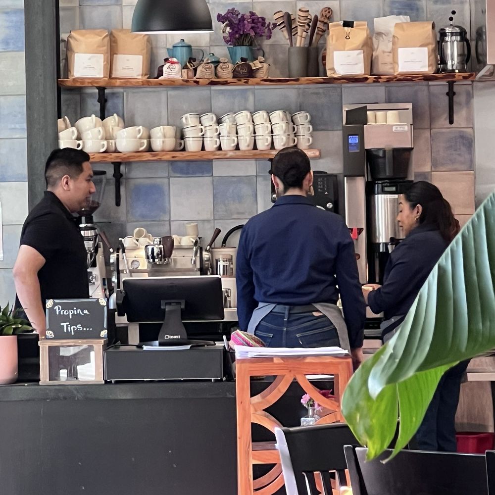 Corazon Comedor - Look at the coffee cup size difference - Mexican Near Me - Santa Barbara, California Corazon Comedor - Look at the coffee cup size difference - Mexican Near Me - Santa Barbara, California