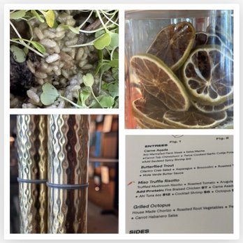 Wild Hare Bar Garden  - "Everyone we meet is a chemical reaction they change us,we change them!" Thx Lindsey! #MisoTruffleRicotto - Lounges Near Me - San Diego, California