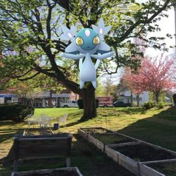 Old South Union Cong Church - #Azelf #GoSnapshot #PokemonGo