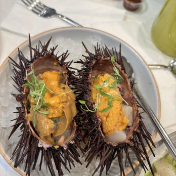 Holbox - Erizo/Sea Urchin - Latin American Near Me - Los Angeles, California