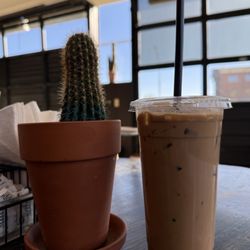 Matador Coffee - Cactus and "Dirty" Chai