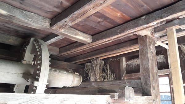 Black Forest Open Air Museum by null