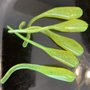 Photo of Mutzie's Bait, LLC