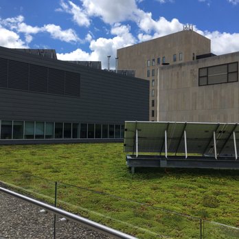Madison Public Library - Looking into the roof garden at the solar panels - Libraries Near Me - Madison, Wisconsin