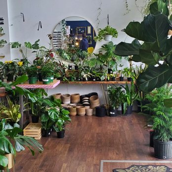 Greenhouse Coffee + Plants - Coffee & Tea Near Me - Corvallis, Oregon Greenhouse Coffee + Plants - Coffee & Tea Near Me - Corvallis, Oregon