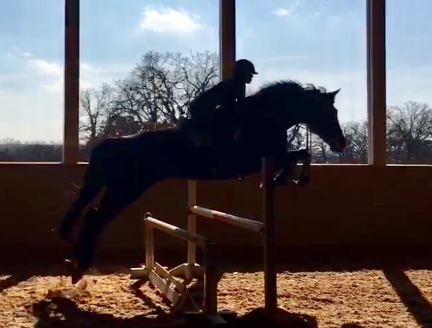 Woodlands Equestrian Center - equestrian in Edmond, OK