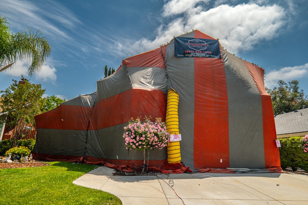 Slide of Stratton Termite & Roofing Solutions