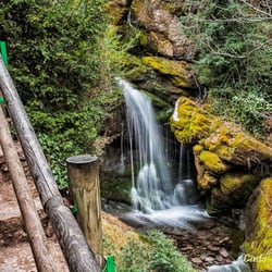 Las Fuentes del Llobregat