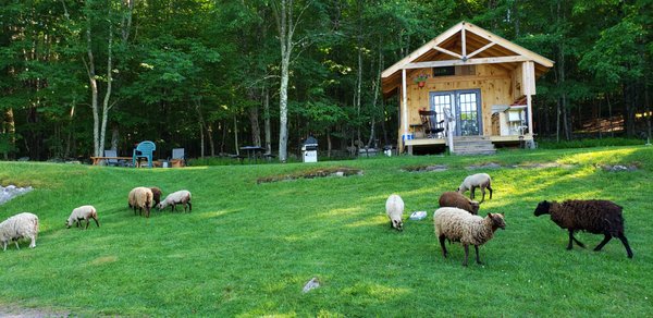 Bethel Pastures Farm Bed & Breakfast by null