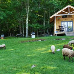 Bethel Pastures Farm Bed & Breakfast