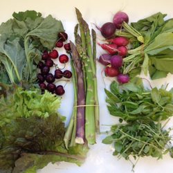 Simply Nourished by BE WELLness - Local produce!