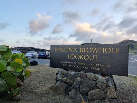 Halona Blowhole Lookout by null