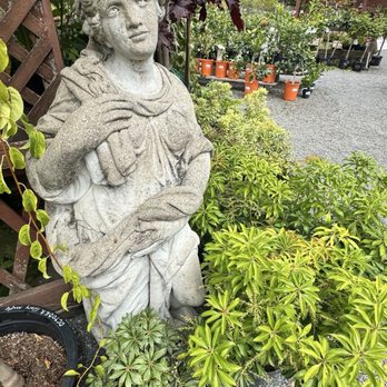 Pierson's Garden Shop & Nursery - Nurseries & Gardening Near Me - Eureka, California Pierson's Garden Shop & Nursery - Nurseries & Gardening Near Me - Eureka, California