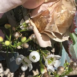 BowKay Designs - 2.5 days after receiving the arrangement