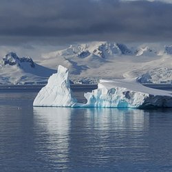 Astonishing Travel Services - Astonishing Travel is ready to be your travel agent for special trips like Antarctica, the Galapagos, Europe and more.