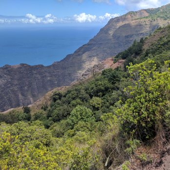 Awa'awapuhi Lookout - Jungle - Hiking Near Me - Waimea, Hawaii