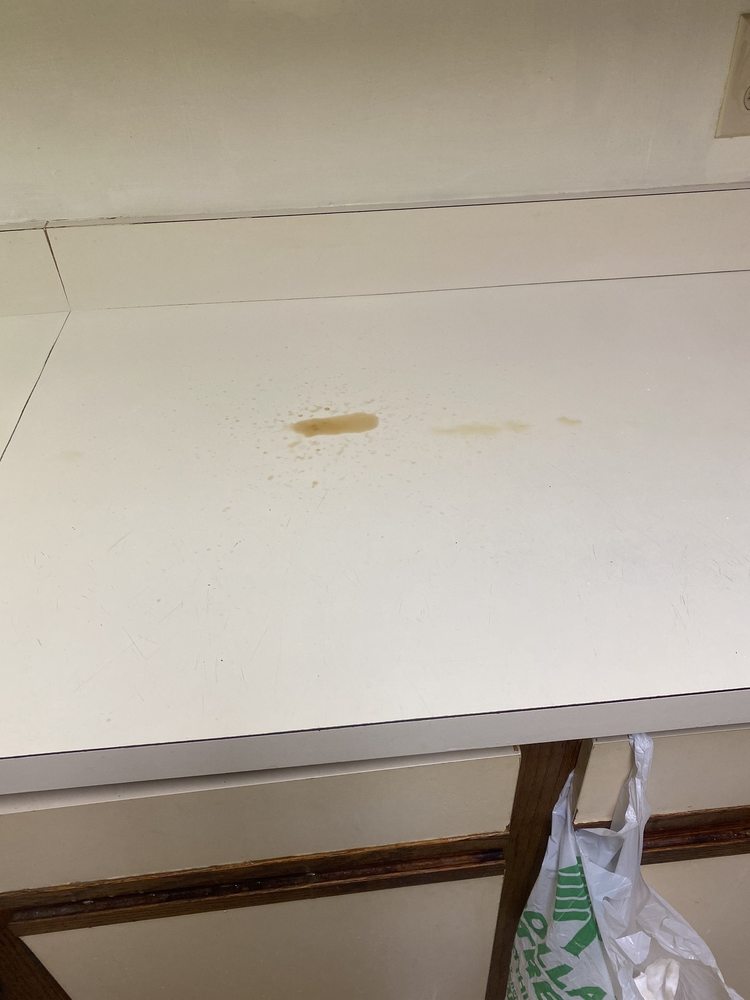 AVENT FERRY MANAGEMENT Updated October 2024 10 Photos Cary, North