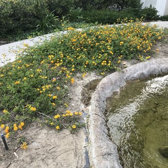 Villa Park Landscape - Landscaping Near Me - Orange, California Villa Park Landscape - Landscaping Near Me - Orange, California