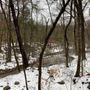 Photo of Cave Mountain Lake Recreation Area