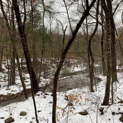 Cave Mountain Lake Recreation Area