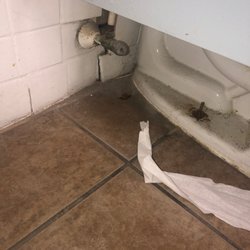 Big Lots - there was a roach