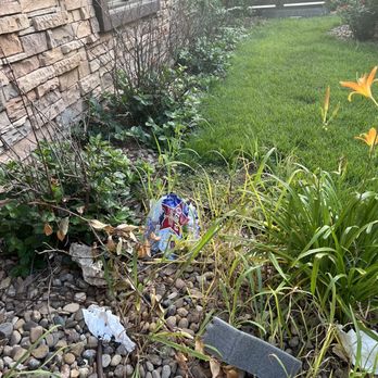 Staybridge Suites Amarillo-Western Crossing - Trash and weeds and dead bushes - Hotels Near Me - Amarillo, Texas Staybridge Suites Amarillo-Western Crossing - Trash and weeds and dead bushes - Hotels Near Me - Amarillo, Texas