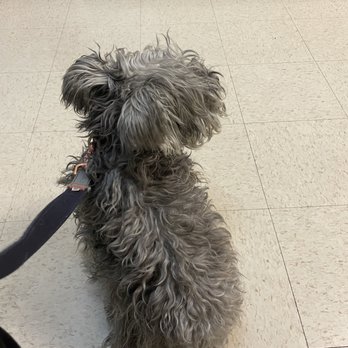PetSmart - Before - Pet Stores Near Me - Las Vegas, Nevada PetSmart - Before - Pet Stores Near Me - Las Vegas, Nevada