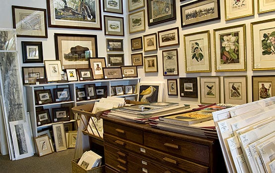 The Antiquarium - Houston's Finest Custom Picture Framing, Rare Maps and Prints by null