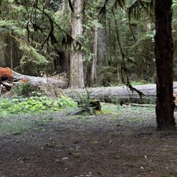 La Wis Wis Campground - 8/24/25