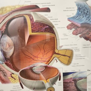 Berkeley Eye Center - Memorial - Optometrists Near Me - Houston, Texas