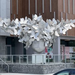 Mariposas