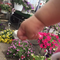 Rich's Greenhouse & Farm - Flowers are a little distracting from my baby's cute hand.