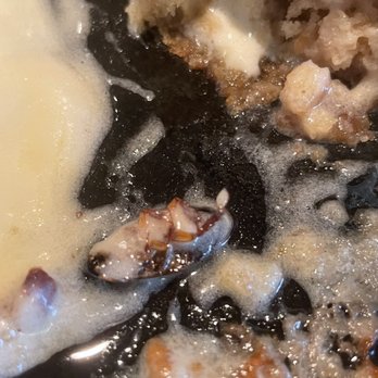 Applebee's Grill + Bar - ROACHED out Sizzlin' Butter Pecan Blondie - Sports Bars Near Me - Tallahassee, Florida