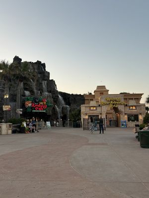 Rainforest Cafe by null
