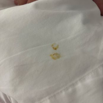 Hampton Inn North Platte - Here is the stain on the sheets. - Hotels Near Me - North Platte, Nebraska Hampton Inn North Platte - Here is the stain on the sheets. - Hotels Near Me - North Platte, Nebraska