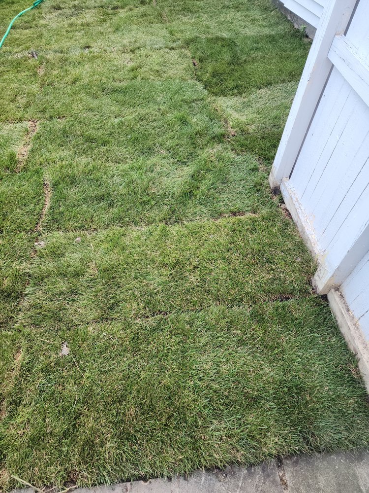 BKP Lawn & Landscaping - tree service in Milwaukee, WI