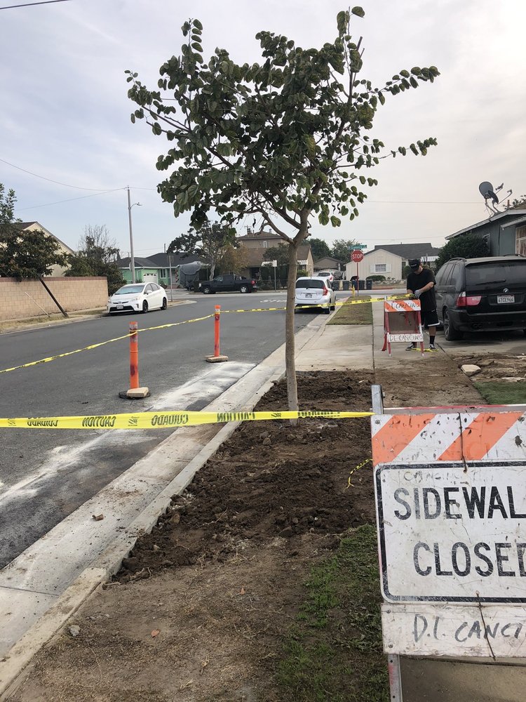 JAUREGUI NURSERY Updated September 2024 11 Photos & 12 Reviews 551 W Alondra Blvd, Gardena