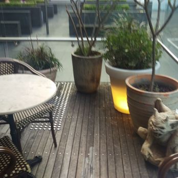 TreeHouse Hotel - Balcony - Australian Near Me - North Sydney, NSW TreeHouse Hotel - Balcony - Australian Near Me - North Sydney, NSW